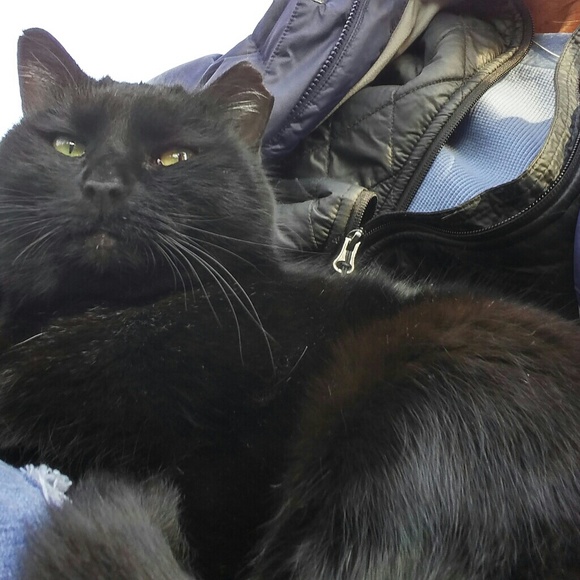 Meet your Posher, Anna - Picture 2 of 8